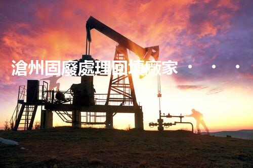 滄州固廢處理回填廠家，靠譜不？快來瞧瞧！